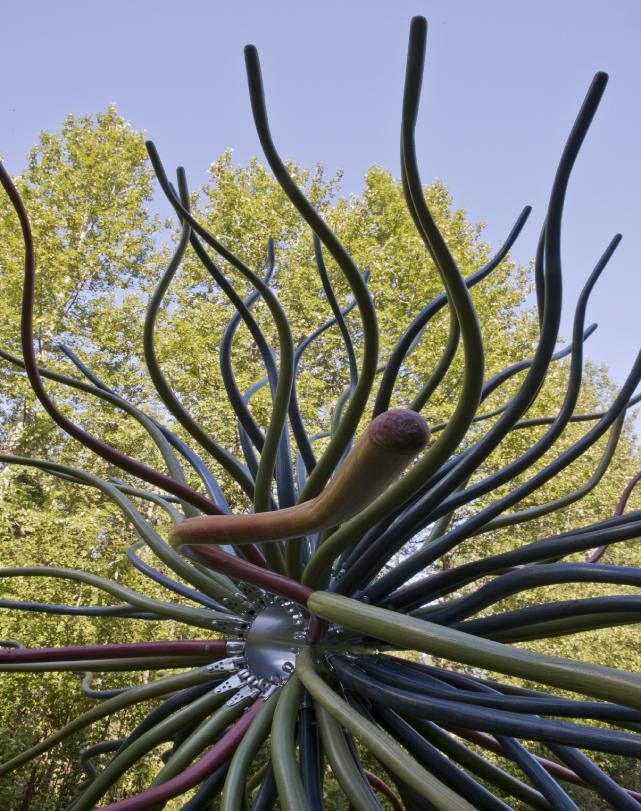 Spore